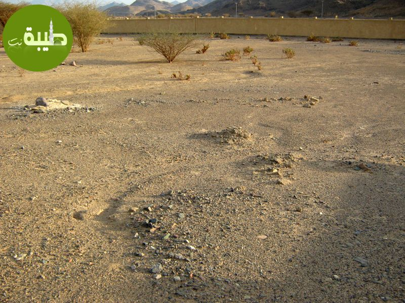 اضغط على الصورة لعرض أكبر. 

الإسم:	image.png 
مشاهدات:	93 
الحجم:	1.09 ميجابايت 
الهوية:	839638