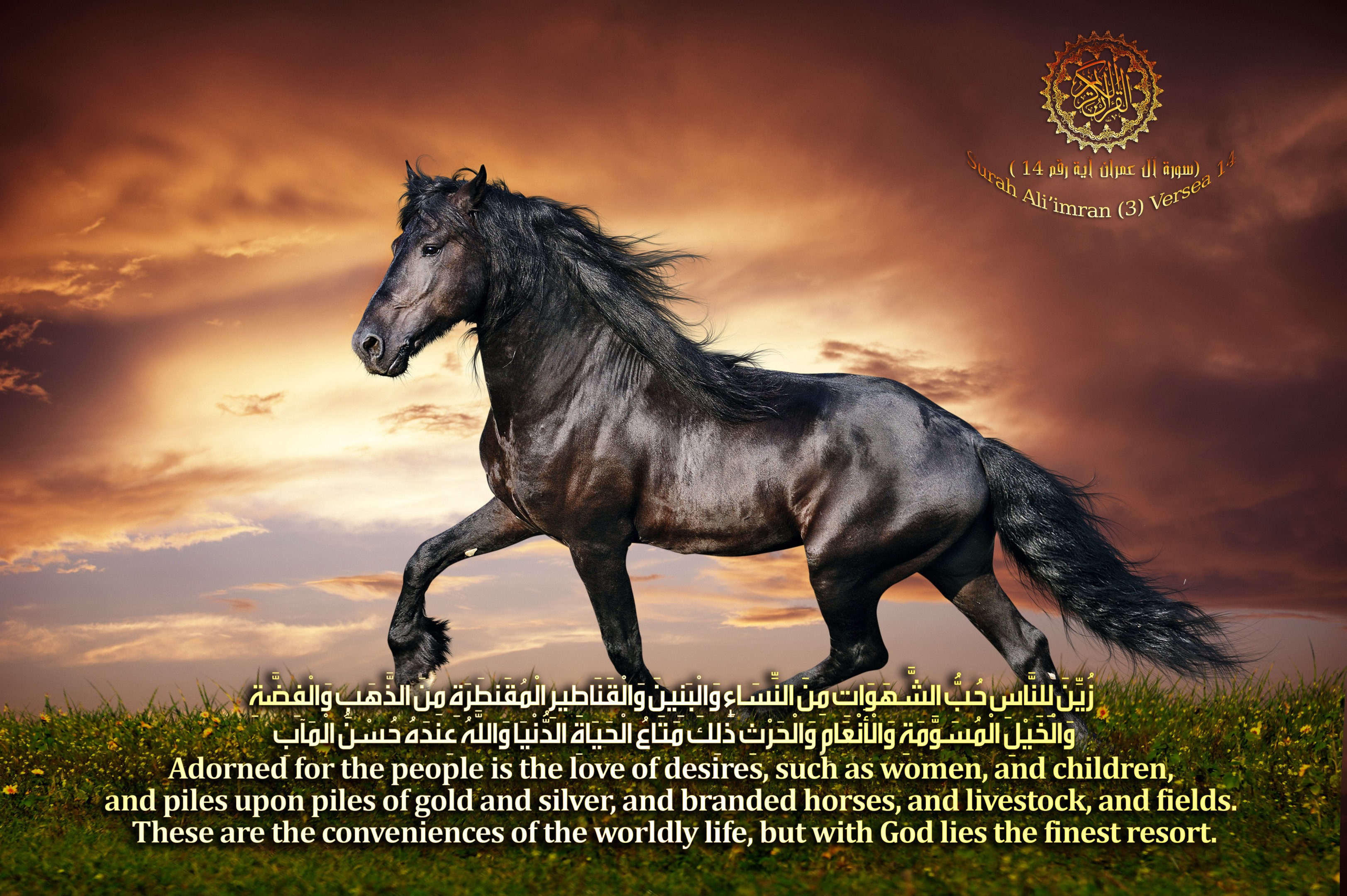 اضغط على الصورة لعرض أكبر. 

الإسم:	alkhail-almosawama.jpg 
مشاهدات:	39 
الحجم:	1.46 ميجابايت 
الهوية:	839796