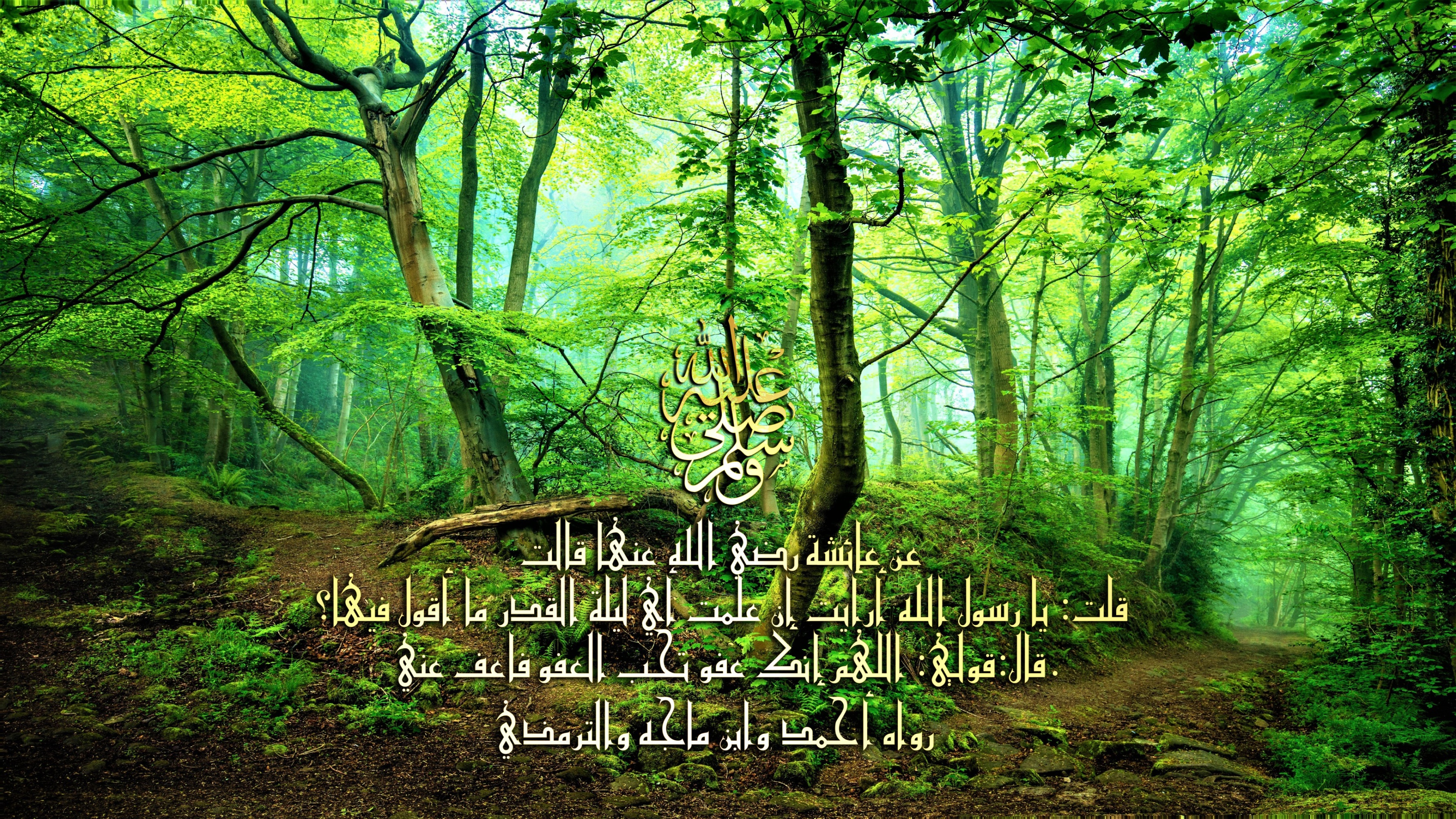 اضغط على الصورة لعرض أكبر. 

الإسم:	Allahoma-Inak-3afw.jpg 
مشاهدات:	166 
الحجم:	4.36 ميجابايت 
الهوية:	839807
