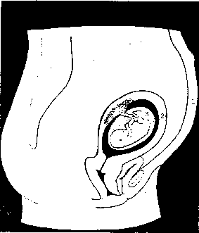 اضغط على الصورة لعرض أكبر. 

الإسم:	image.png 
مشاهدات:	33 
الحجم:	5.0 كيلوبايت 
الهوية:	839818