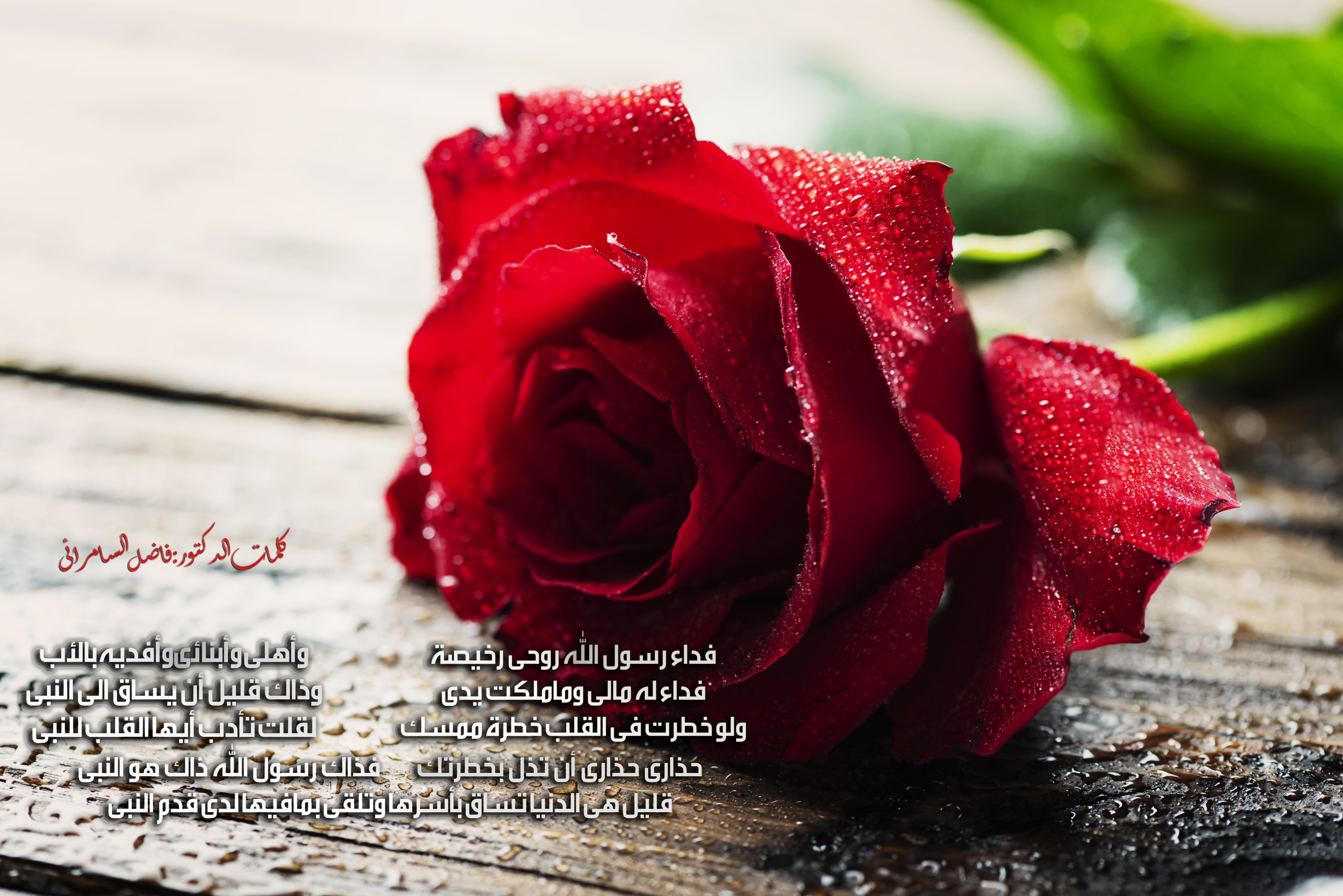 اضغط على الصورة لعرض أكبر. 

الإسم:	Feda-Rasoul-Allah.jpg 
مشاهدات:	129 
الحجم:	937.7 كيلوبايت 
الهوية:	840613