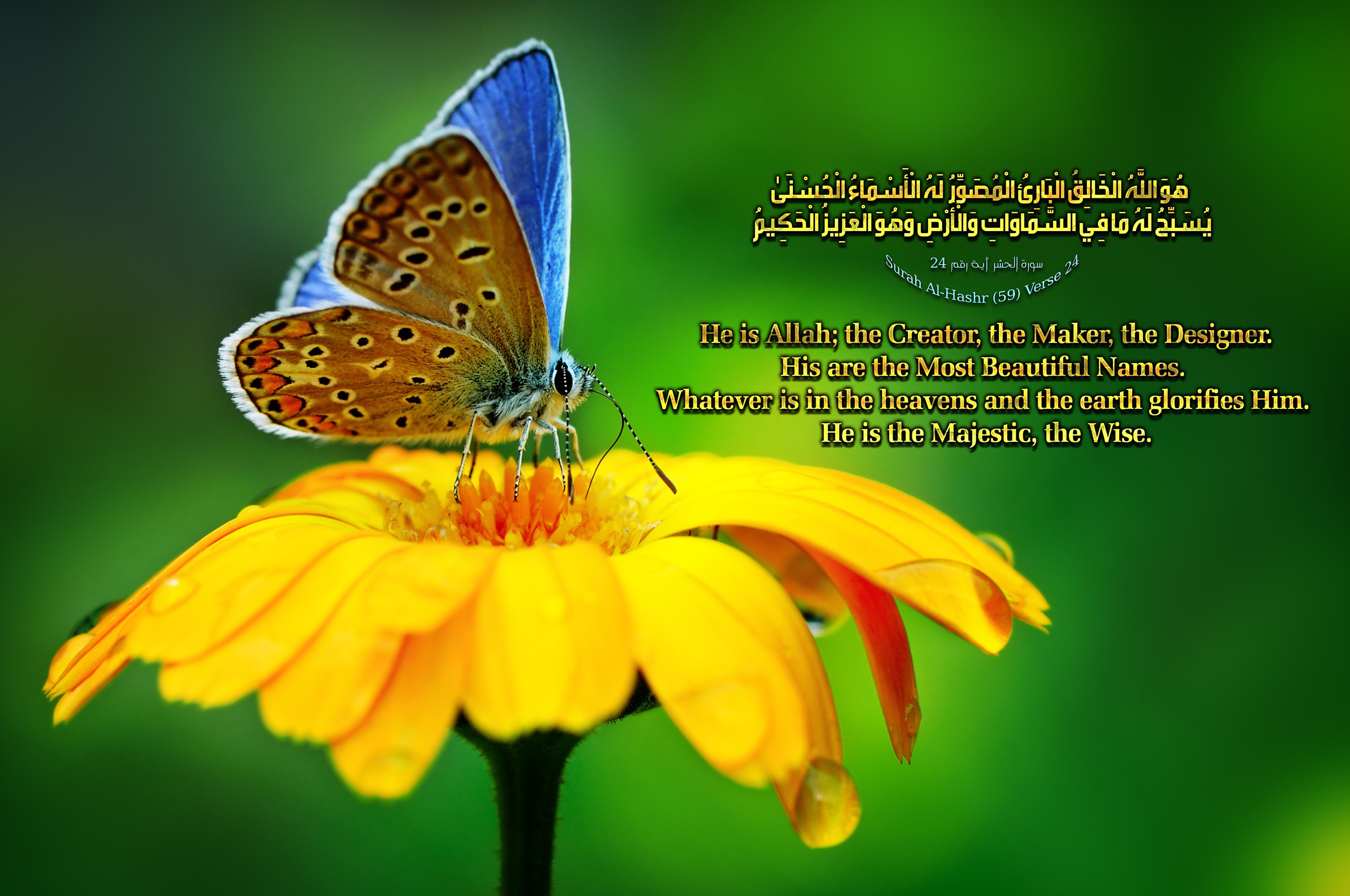 اضغط على الصورة لعرض أكبر. 

الإسم:	Howa-Allah-Alkhalik.jpg 
مشاهدات:	117 
الحجم:	840.1 كيلوبايت 
الهوية:	840618