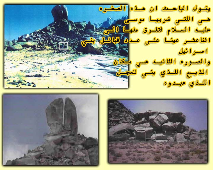 اضغط على الصورة لعرض أكبر. 

الإسم:	image.png 
مشاهدات:	16 
الحجم:	586.9 كيلوبايت 
الهوية:	840751