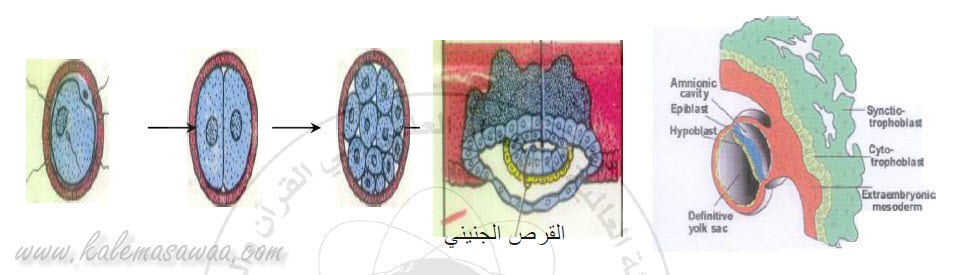 اضغط على الصورة لعرض أكبر. 

الإسم:	image.png 
مشاهدات:	52 
الحجم:	298.0 كيلوبايت 
الهوية:	840822
