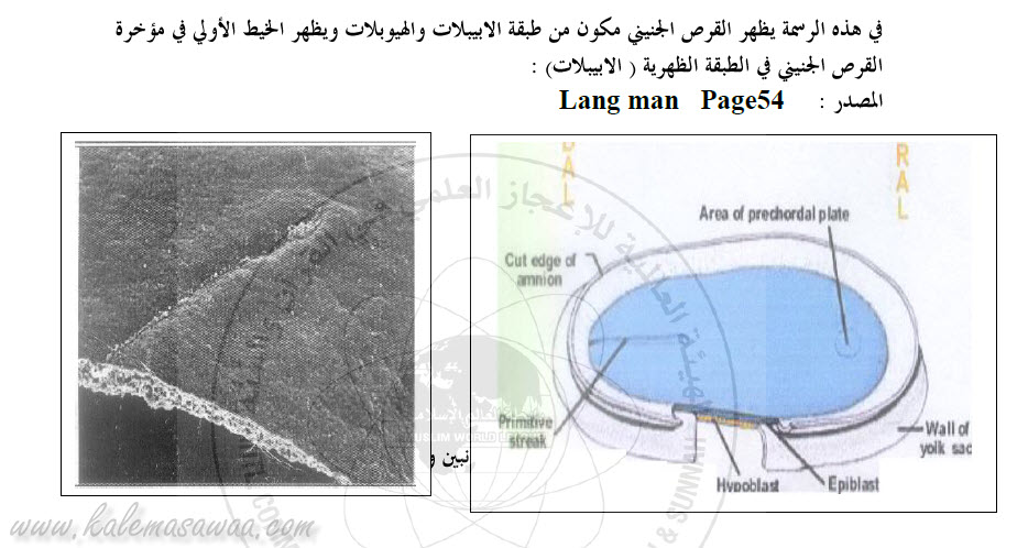 اضغط على الصورة لعرض أكبر. 

الإسم:	image.png 
مشاهدات:	41 
الحجم:	442.5 كيلوبايت 
الهوية:	840823