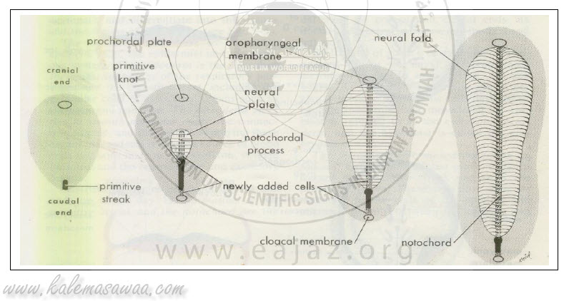 اضغط على الصورة لعرض أكبر. 

الإسم:	image.png 
مشاهدات:	41 
الحجم:	393.2 كيلوبايت 
الهوية:	840825