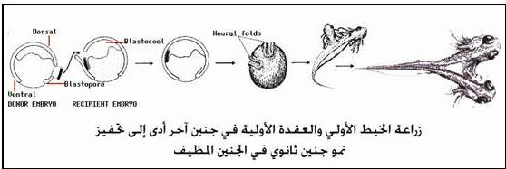 اضغط على الصورة لعرض أكبر. 

الإسم:	image.png 
مشاهدات:	41 
الحجم:	90.4 كيلوبايت 
الهوية:	840826