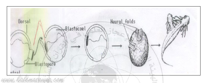اضغط على الصورة لعرض أكبر. 

الإسم:	image.png 
مشاهدات:	41 
الحجم:	219.5 كيلوبايت 
الهوية:	840829
