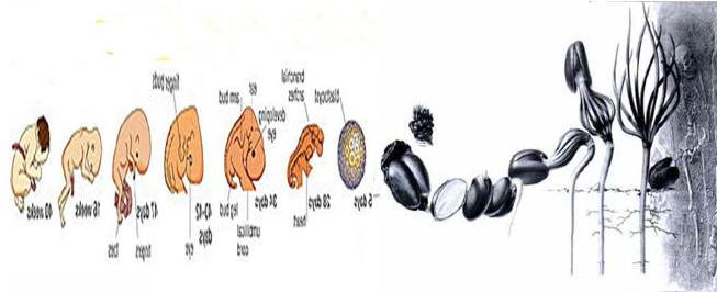 اضغط على الصورة لعرض أكبر. 

الإسم:	image.png 
مشاهدات:	41 
الحجم:	181.5 كيلوبايت 
الهوية:	840831