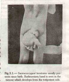 اضغط على الصورة لعرض أكبر. 

الإسم:	image.png 
مشاهدات:	41 
الحجم:	77.4 كيلوبايت 
الهوية:	840832