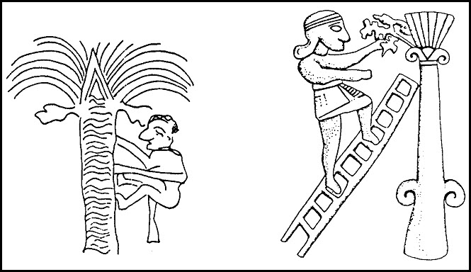 اضغط على الصورة لعرض أكبر. 

الإسم:	image.png 
مشاهدات:	160 
الحجم:	128.7 كيلوبايت 
الهوية:	841390