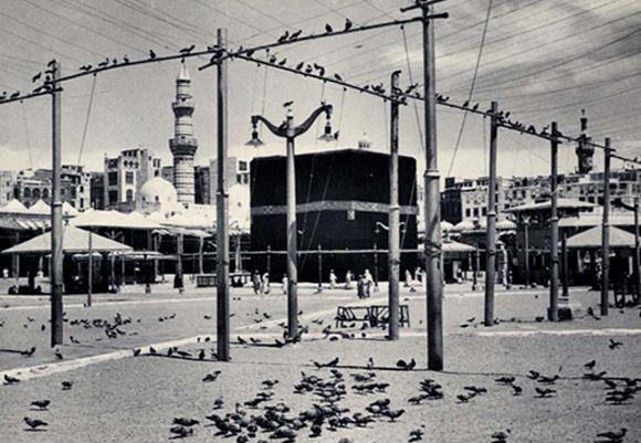 اضغط على الصورة لعرض أكبر. 

الإسم:	image.png 
مشاهدات:	41 
الحجم:	415.9 كيلوبايت 
الهوية:	842094