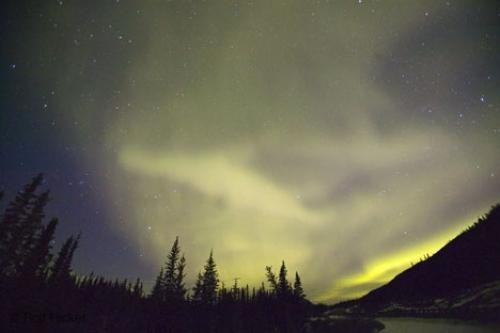 اضغط على الصورة لعرض أكبر. 

الإسم:	aurora-Borealis_canada_T6176.jpg 
مشاهدات:	583 
الحجم:	18.1 كيلوبايت 
الهوية:	842931