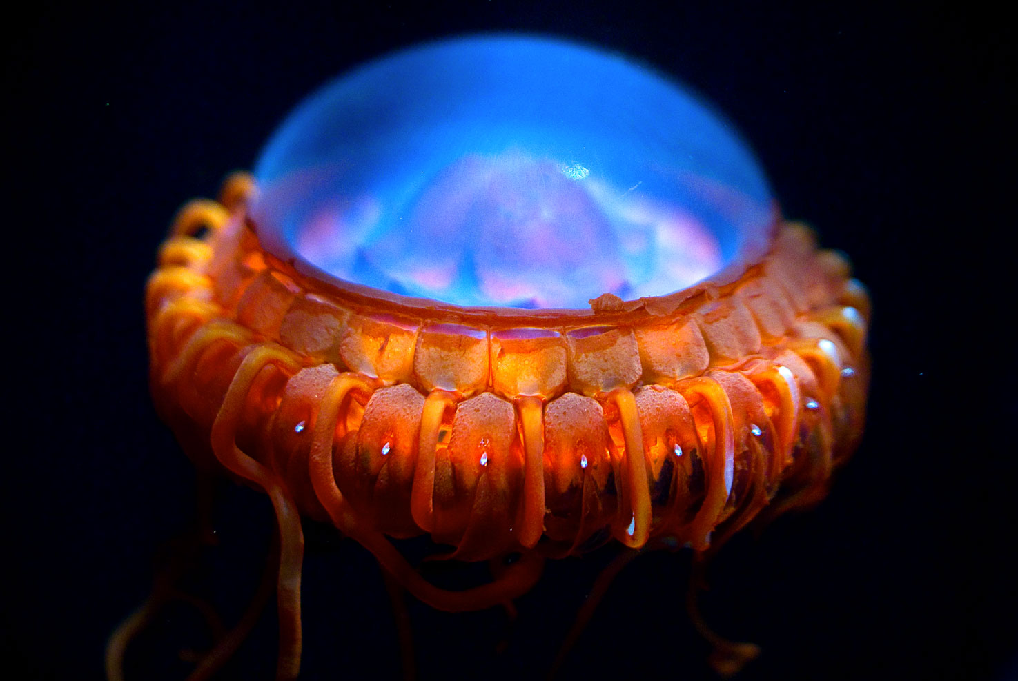 اضغط على الصورة لعرض أكبر. 

الإسم:	image.png 
مشاهدات:	382 
الحجم:	1.20 ميجابايت 
الهوية:	843094
