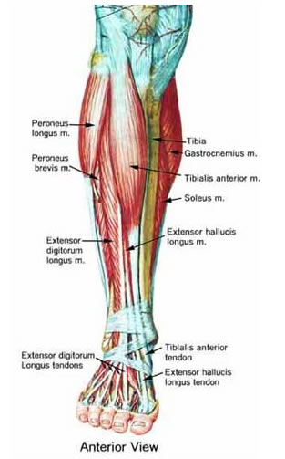 اضغط على الصورة لعرض أكبر.   الإسم:	image.png  مشاهدات:	0  الحجم:	153.5 كيلوبايت  الهوية:	843446