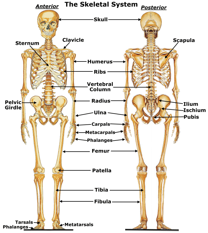 اضغط على الصورة لعرض أكبر. 

الإسم:	image.png 
مشاهدات:	15 
الحجم:	369.1 كيلوبايت 
الهوية:	843451