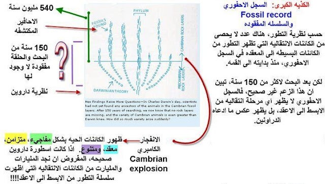 اضغط على الصورة لعرض أكبر. 

الإسم:	320709_253219831377038_1819812_n.jpg 
مشاهدات:	81 
الحجم:	76.0 كيلوبايت 
الهوية:	843506