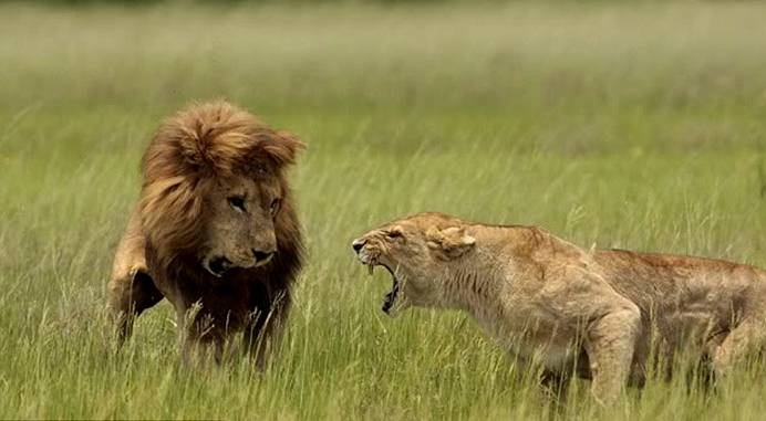 اضغط على الصورة لعرض أكبر. 

الإسم:	image.png 
مشاهدات:	98 
الحجم:	324.0 كيلوبايت 
الهوية:	844015