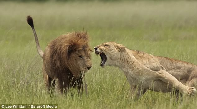 اضغط على الصورة لعرض أكبر. 

الإسم:	image.png 
مشاهدات:	108 
الحجم:	275.7 كيلوبايت 
الهوية:	844018