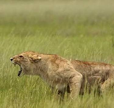 اضغط على الصورة لعرض أكبر. 

الإسم:	image.png 
مشاهدات:	103 
الحجم:	151.3 كيلوبايت 
الهوية:	844023