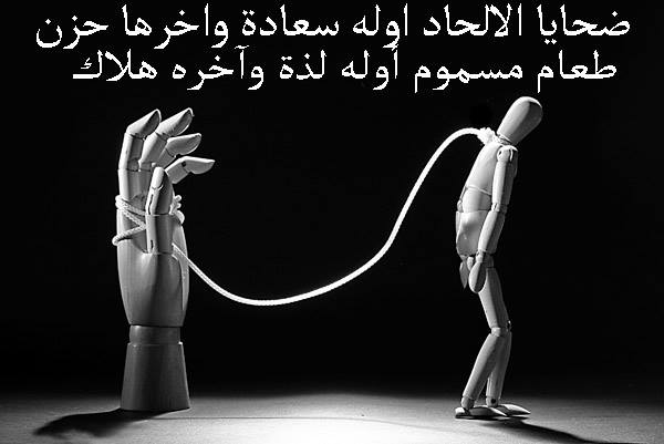 اضغط على الصورة لعرض أكبر. 

الإسم:	image.png 
مشاهدات:	171 
الحجم:	124.9 كيلوبايت 
الهوية:	844087