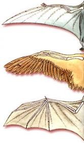 اضغط على الصورة لعرض أكبر. 

الإسم:	attachment.jpg 
مشاهدات:	10 
الحجم:	14.0 كيلوبايت 
الهوية:	844495