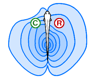 اضغط على الصورة لعرض أكبر. 

الإسم:	attachment.png 
مشاهدات:	9 
الحجم:	20.6 كيلوبايت 
الهوية:	844500