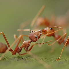 اضغط على الصورة لعرض أكبر. 

الإسم:	12098851092120083583_d52fe067df_m.jpg 
مشاهدات:	23 
الحجم:	12.8 كيلوبايت 
الهوية:	844589