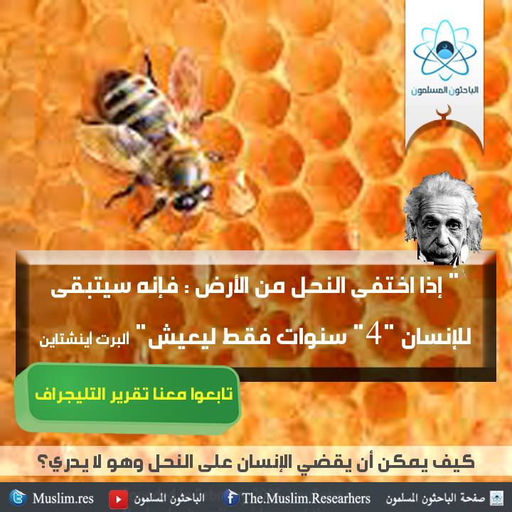 اضغط على الصورة لعرض أكبر. 

الإسم:	image.png 
مشاهدات:	31 
الحجم:	768.2 كيلوبايت 
الهوية:	845148