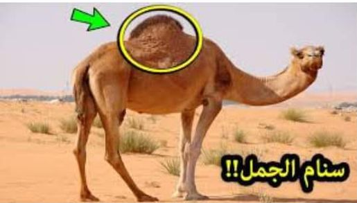 اضغط على الصورة لعرض أكبر. 

الإسم:	image.png 
مشاهدات:	40 
الحجم:	199.7 كيلوبايت 
الهوية:	845369