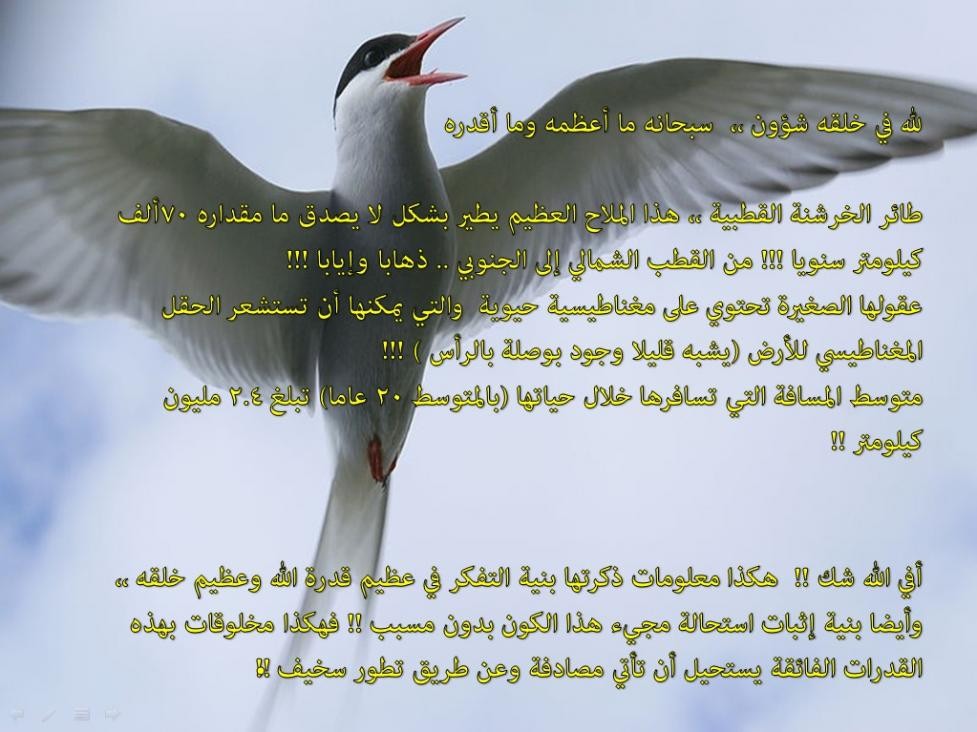 اضغط على الصورة لعرض أكبر. 

الإسم:	attachment.jpg 
مشاهدات:	19 
الحجم:	125.8 كيلوبايت 
الهوية:	846144