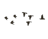 اضغط على الصورة لعرض أكبر. 

الإسم:	76755d7fb1360e3d8ed6f75063a053c7_w200.gif 
مشاهدات:	15 
الحجم:	3.7 كيلوبايت 
الهوية:	846220