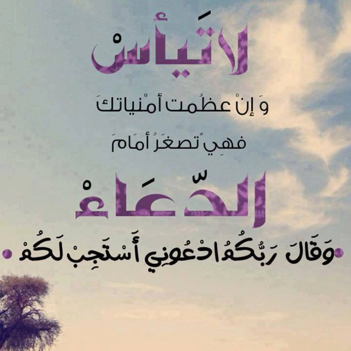 اضغط على الصورة لعرض أكبر. 

الإسم:	image.png 
مشاهدات:	9 
الحجم:	467.0 كيلوبايت 
الهوية:	846726