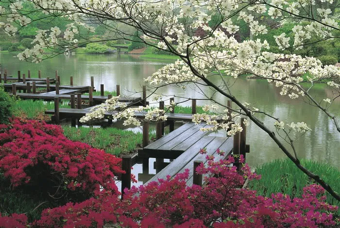 اضغط على الصورة لعرض أكبر. 

الإسم:	image.png 
مشاهدات:	12 
الحجم:	811.4 كيلوبايت 
الهوية:	846882