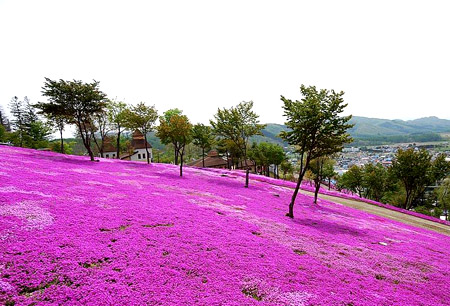 اضغط على الصورة لعرض أكبر. 

الإسم:	image.png 
مشاهدات:	12 
الحجم:	264.6 كيلوبايت 
الهوية:	846888