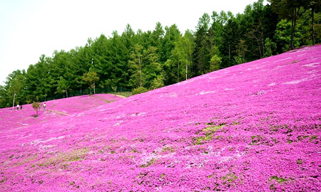 اضغط على الصورة لعرض أكبر. 

الإسم:	image.png 
مشاهدات:	12 
الحجم:	284.9 كيلوبايت 
الهوية:	846892