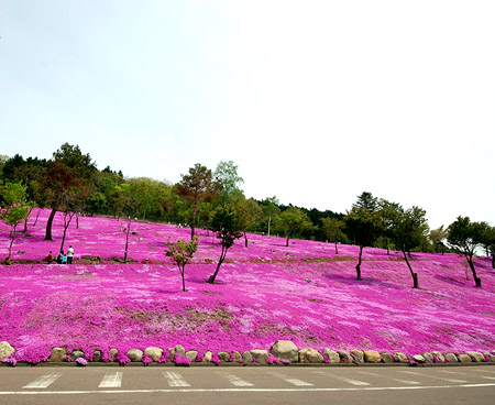 اضغط على الصورة لعرض أكبر. 

الإسم:	image.png 
مشاهدات:	12 
الحجم:	239.9 كيلوبايت 
الهوية:	846893