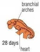 اضغط على الصورة لعرض أكبر. 

الإسم:	YbvfLkb.jpg 
مشاهدات:	11 
الحجم:	7.5 كيلوبايت 
الهوية:	849495