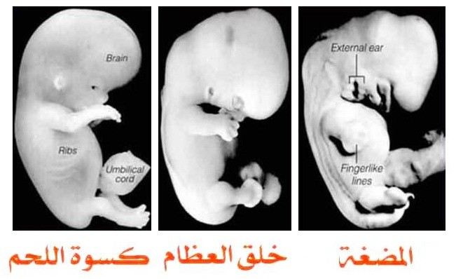 اضغط على الصورة لعرض أكبر. 

الإسم:	WJZpOHc.jpg 
مشاهدات:	10 
الحجم:	54.1 كيلوبايت 
الهوية:	849501
