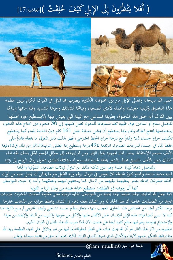 اضغط على الصورة لعرض أكبر. 

الإسم:	fCeim1q.jpg 
مشاهدات:	11 
الحجم:	195.0 كيلوبايت 
الهوية:	849520