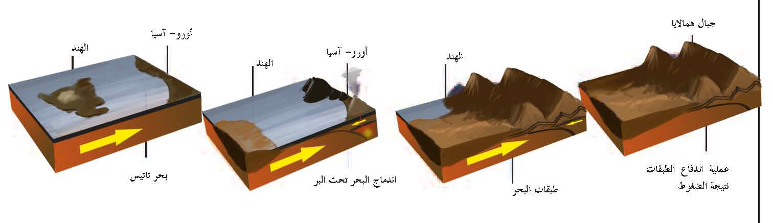 كيفية وصول متحجرات البحر مثلا ًإلى اليابسة والجبال