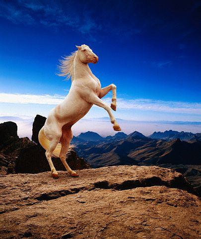 اضغط على الصورة لعرض أكبر. 

الإسم:	image.png 
مشاهدات:	4 
الحجم:	352.3 كيلوبايت 
الهوية:	850647
