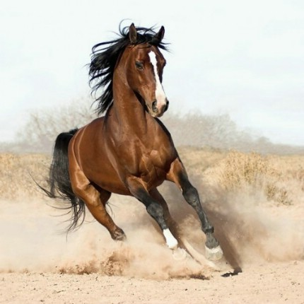 اضغط على الصورة لعرض أكبر. 

الإسم:	image.png 
مشاهدات:	4 
الحجم:	232.6 كيلوبايت 
الهوية:	850650