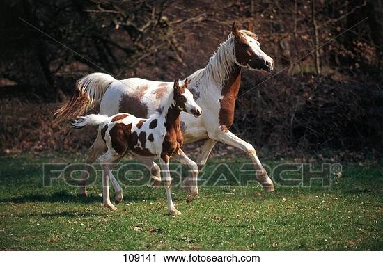 اضغط على الصورة لعرض أكبر. 

الإسم:	109141.jpg 
مشاهدات:	4 
الحجم:	71.6 كيلوبايت 
الهوية:	850654