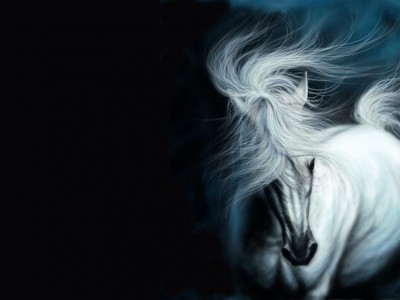 اضغط على الصورة لعرض أكبر. 

الإسم:	white_horse_by_tom274.jpg 
مشاهدات:	4 
الحجم:	18.1 كيلوبايت 
الهوية:	850662