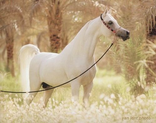 اضغط على الصورة لعرض أكبر. 

الإسم:	image.png 
مشاهدات:	3 
الحجم:	310.8 كيلوبايت 
الهوية:	850673