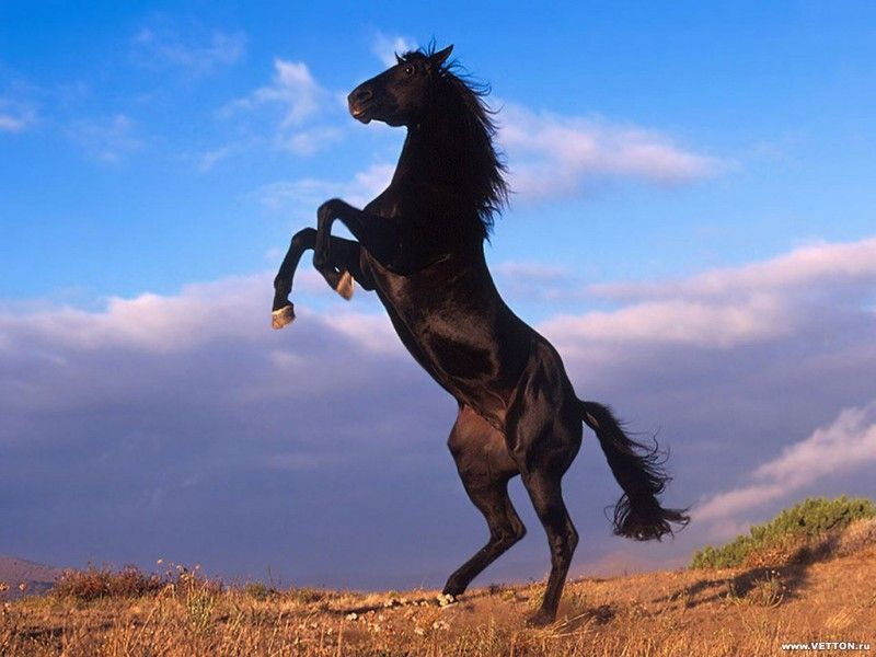 اضغط على الصورة لعرض أكبر. 

الإسم:	image.png 
مشاهدات:	2 
الحجم:	626.1 كيلوبايت 
الهوية:	850676