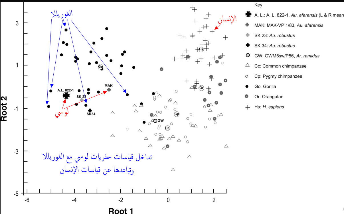 اضغط على الصورة لعرض أكبر. 

الإسم:	2.png 
مشاهدات:	4 
الحجم:	180.5 كيلوبايت 
الهوية:	851322