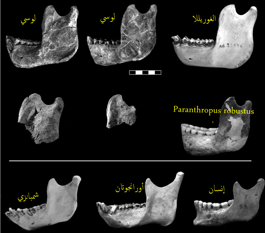 اضغط على الصورة لعرض أكبر. 

الإسم:	3.png 
مشاهدات:	4 
الحجم:	365.0 كيلوبايت 
الهوية:	851323