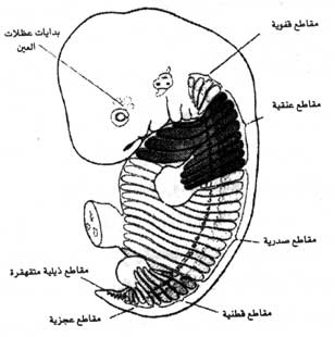 اضغط على الصورة لعرض أكبر. 

الإسم:	image.png 
مشاهدات:	59 
الحجم:	88.5 كيلوبايت 
الهوية:	812205